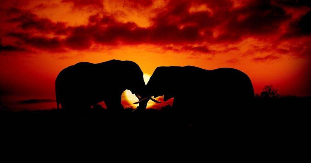 Unsplash/Bisakha Datta